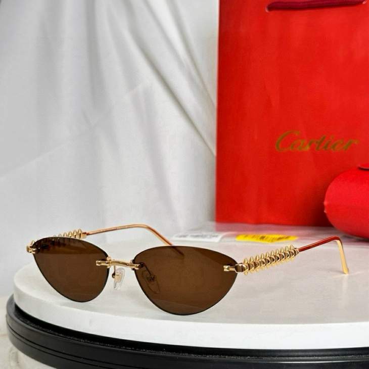 Picture of Cartier Sunglasses _SKUfw77709771fw